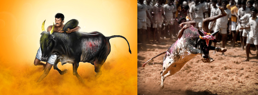 Pongal Festivals, Origin, Rituals, Important Tradition And Celebrations in 2023 3 Tamil Hindu Pongal Festivals and Celebrations in 2023